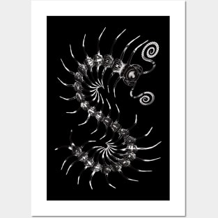 Black and White Centipede Posters and Art